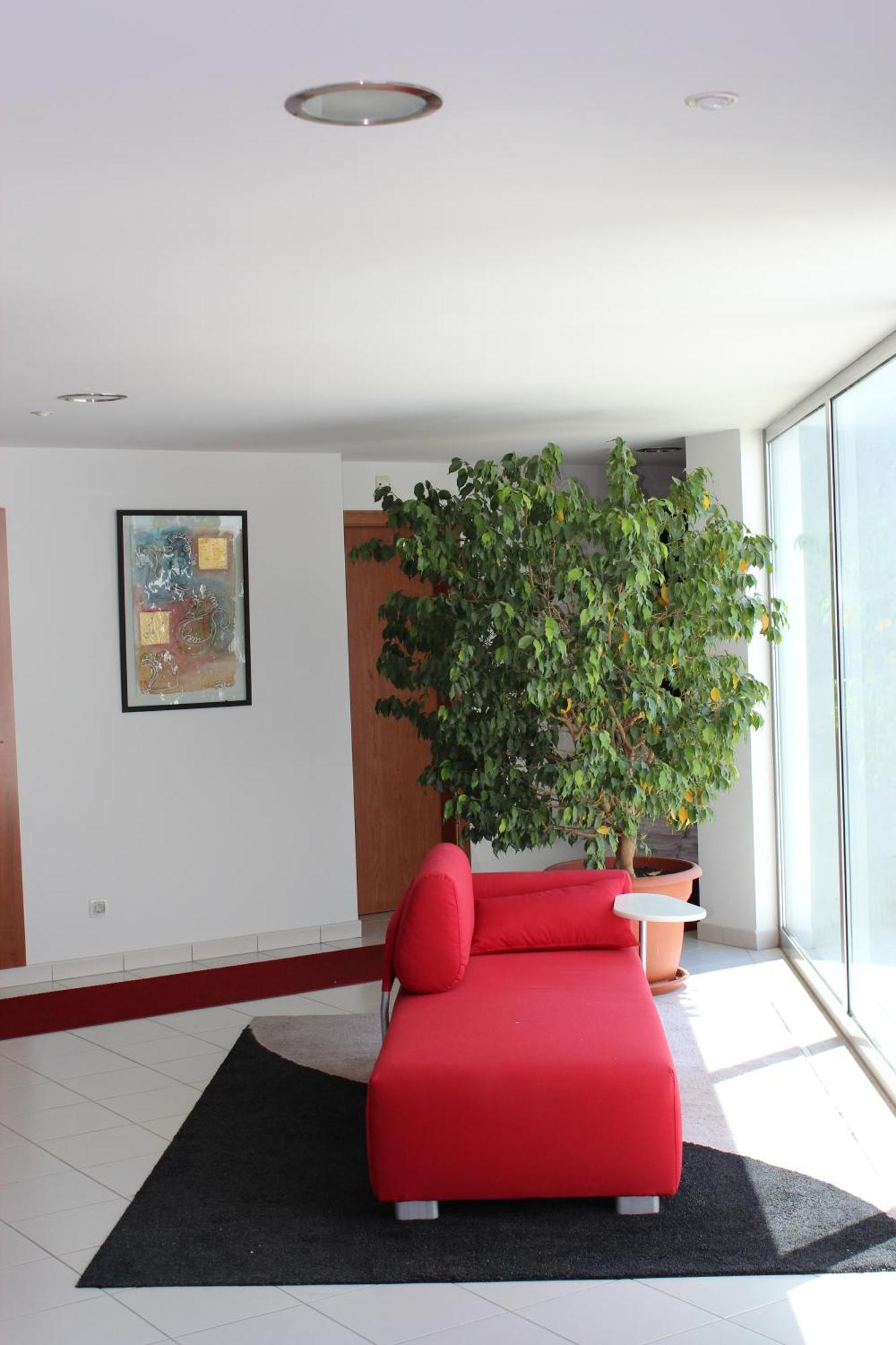 Hotel Sao Sebastiao De Boliqueime Dış mekan fotoğraf